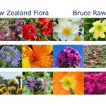 New Zealand Floral Photography - calendar front cover