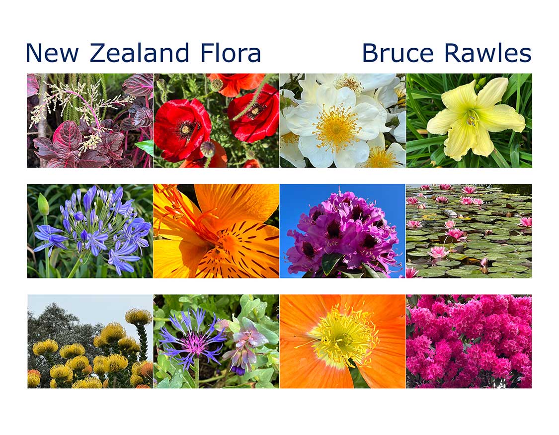 New Zealand Floral Photography - calendar front cover